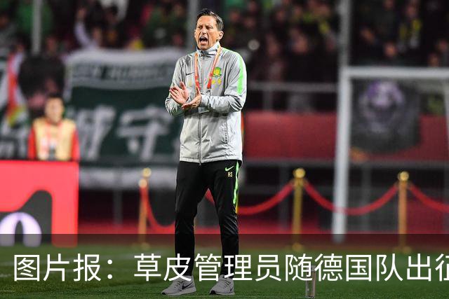 图片报：草皮管理员随德国队出征世界杯，负责训练营草皮养护