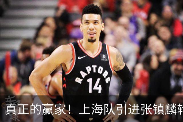 真正的赢家！上海队引进张镇麟转会费曝光，夺冠后总营收正式出炉