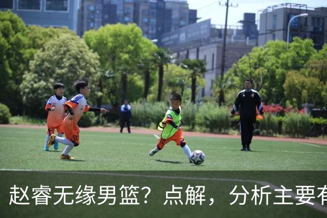 赵睿无缘男篮？点解，分析主要有3个原因！